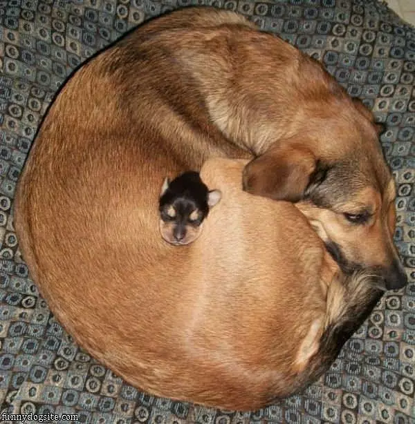 Warmest Safest Place