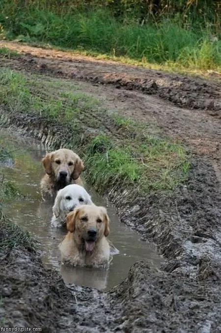 Mudders