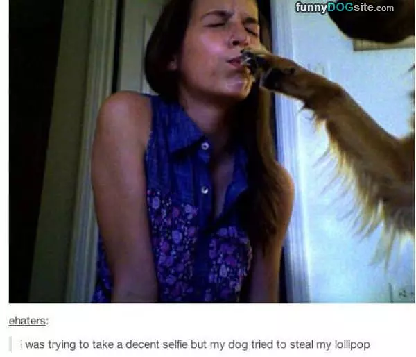 You Shush