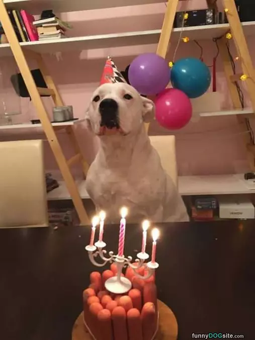 This Cake Is Perfect