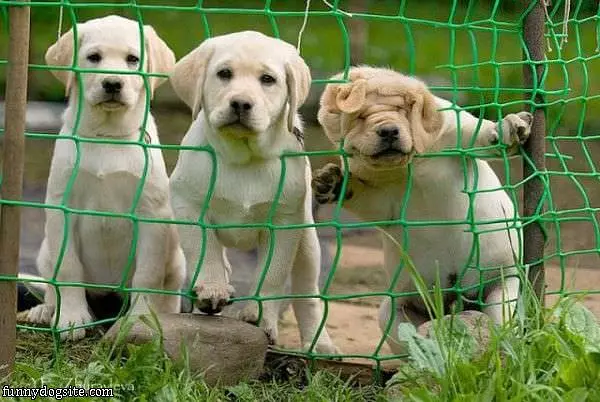 I Dont Fits