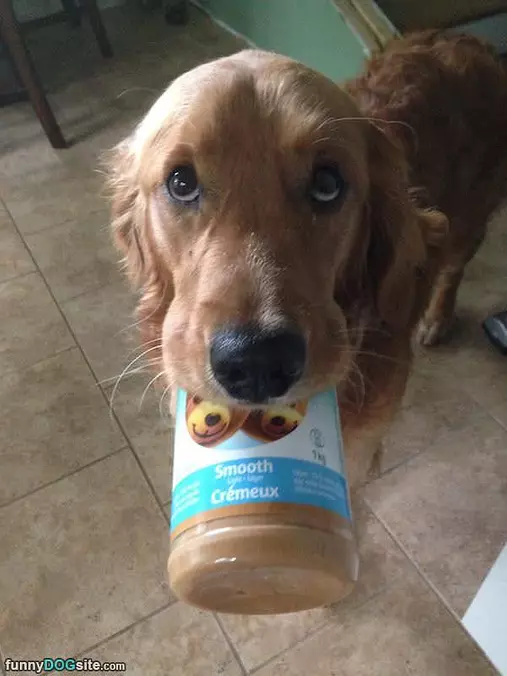 I Got Some Peanut Butter