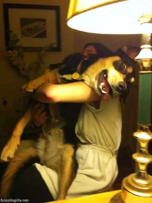 Happy Happy Dog