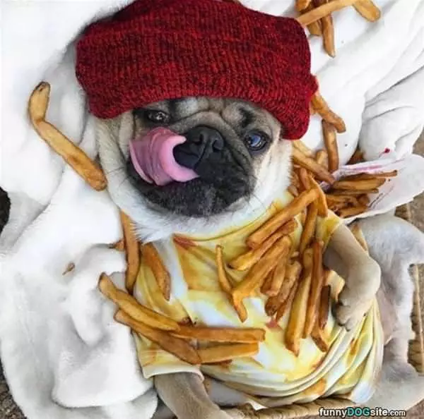 Nommmmmm Nom Nom Nom