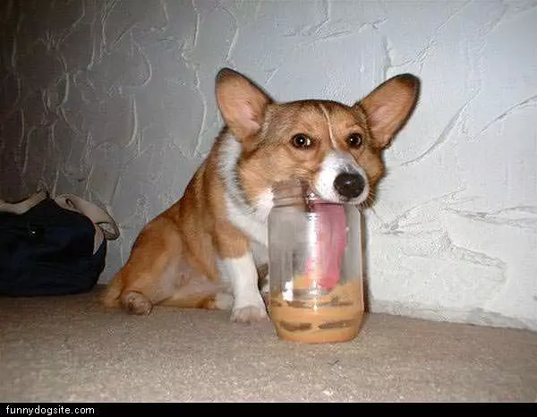 Peanut Butter