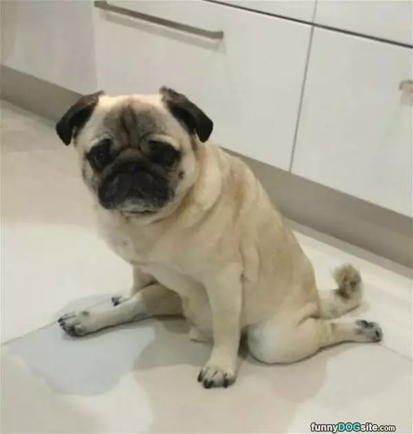 I Sits How I Sits