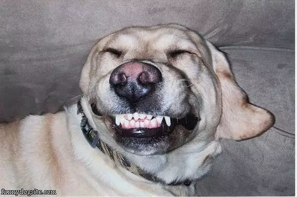 Giant Smile
