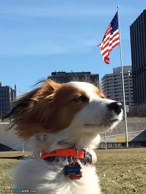 Beautiful Day