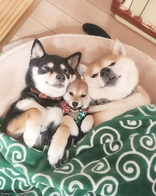 Our Family Photo