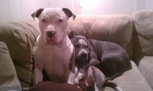 Snuggling Up