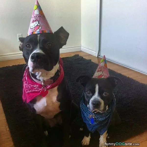 We Are Here For The Party