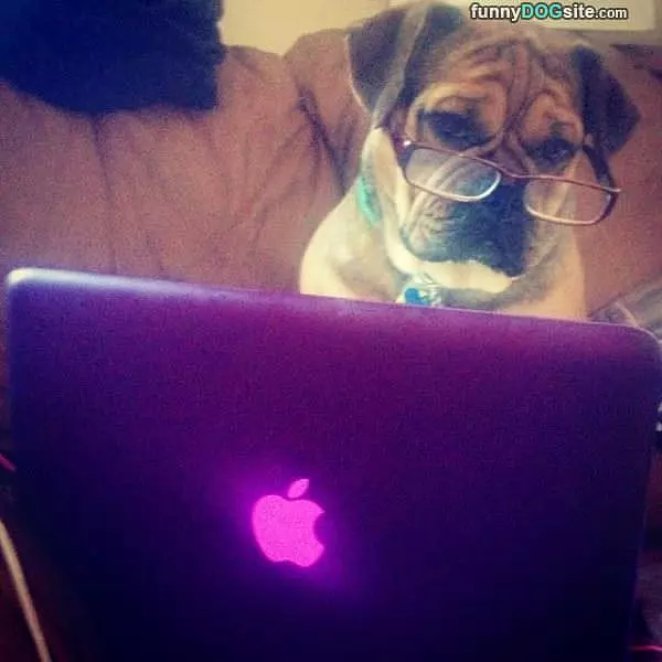 Reading The Internets