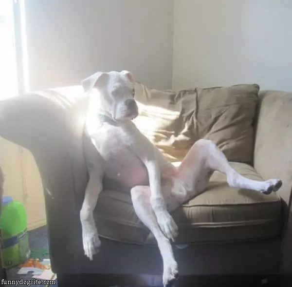 Chillin On The Couch