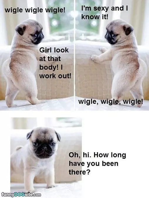 Wiggle Wiggle