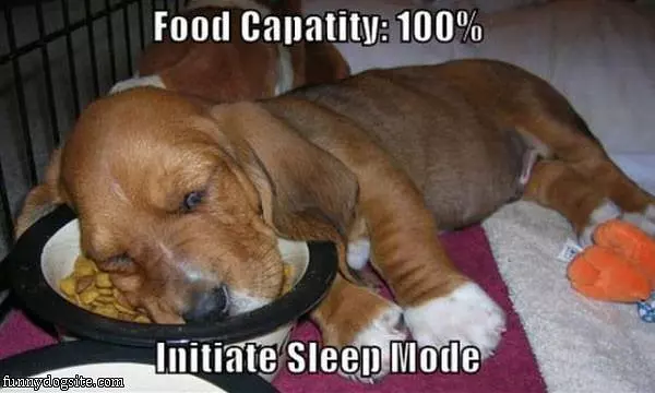 Capacity