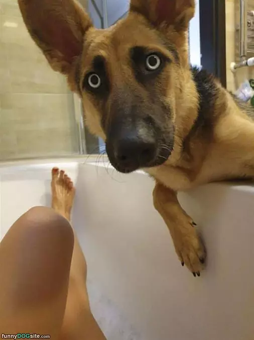 What Are You Doing