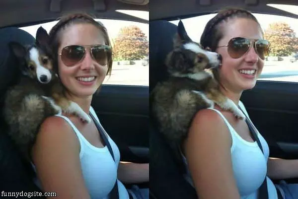Going For A Fun Ride