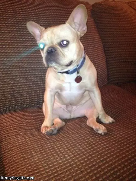 Laser Eye Frankie