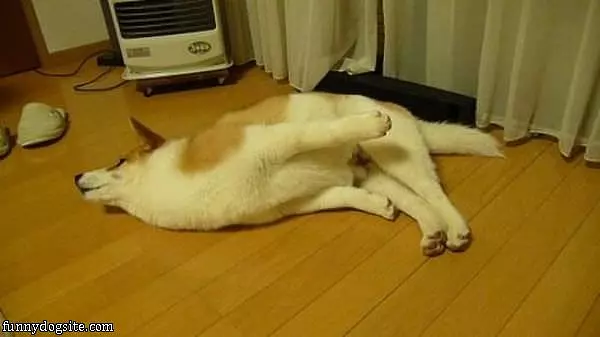 Wheeeee