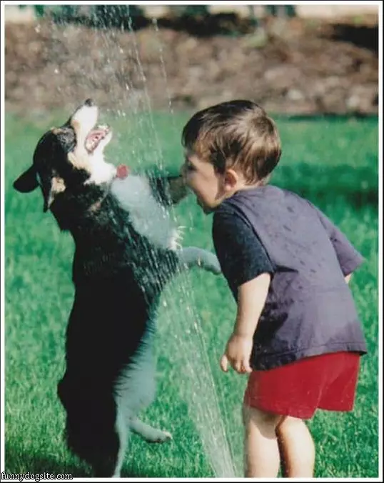 Playing Together In The Water