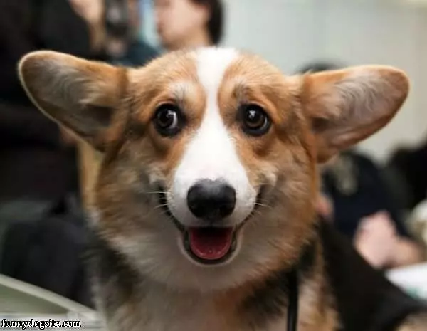 Look Behind Me