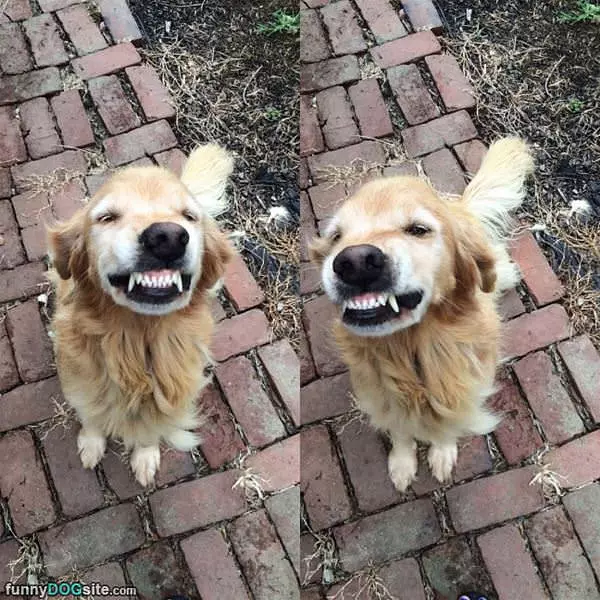 Here Is My Best Smile