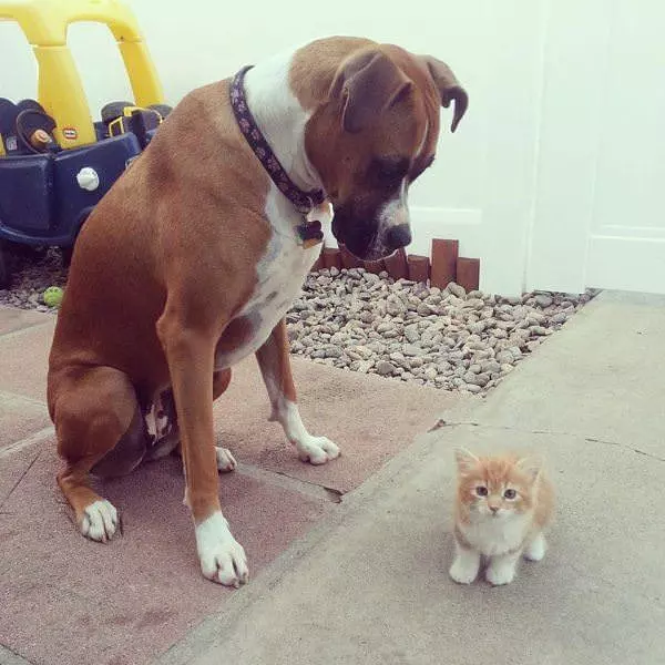 Whats This Can I Eat It