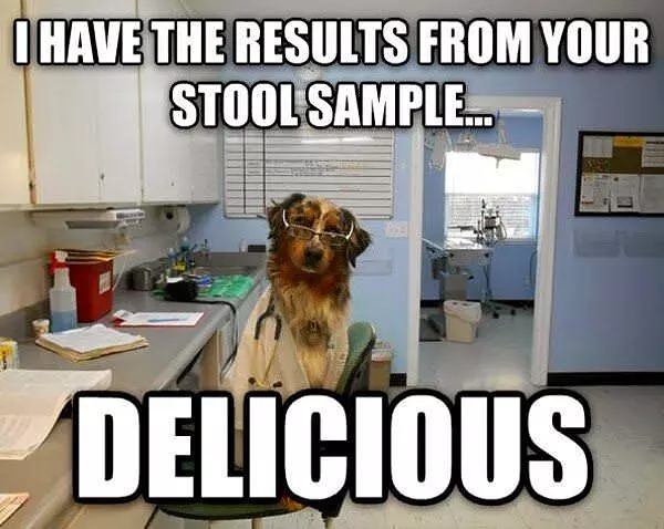 Some Results