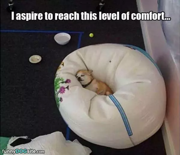 Aspire To Reach This