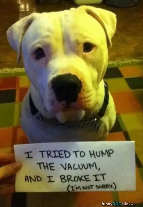 Vacuum Cleaner