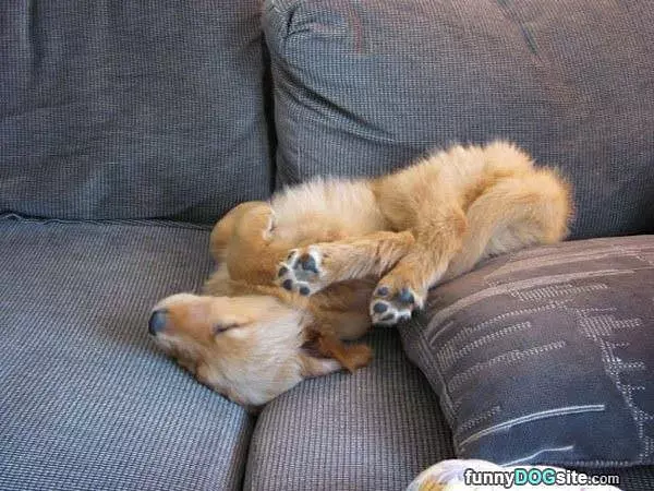 Chillin On The Couch
