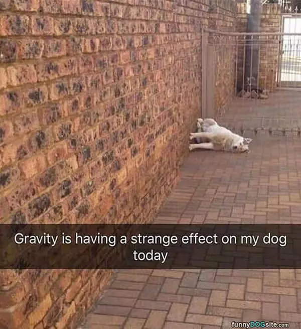 Strange Effects