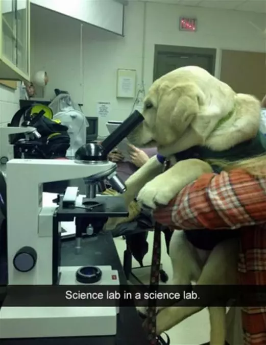 Science Lab