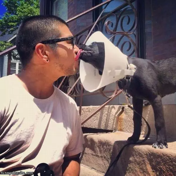 Nothing But Love