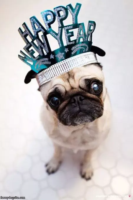Happy New Year