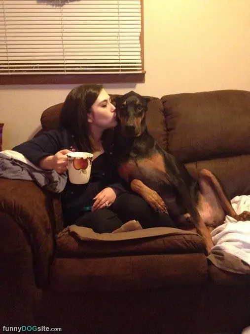 Chillin On The Couch
