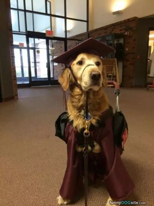 A Graduate
