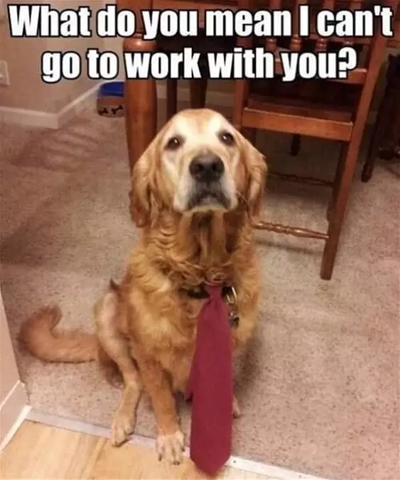 So Can I Go To Work With You
