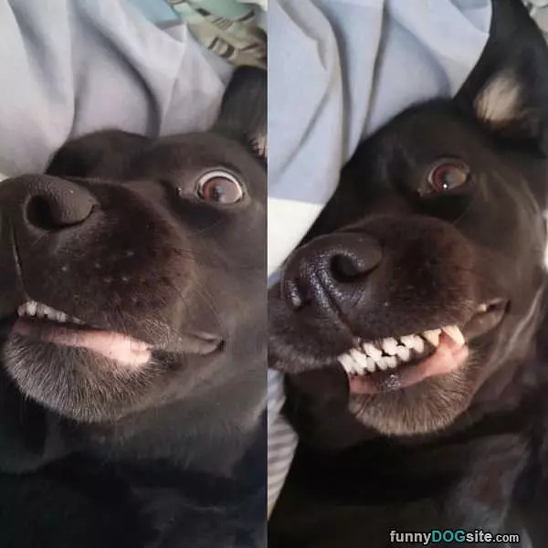 Big Nice Smile