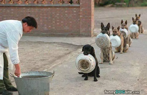 Waiting Their Turn