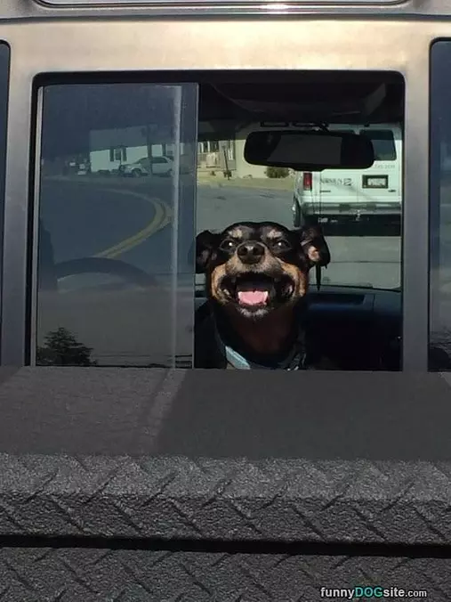 A Happy Day