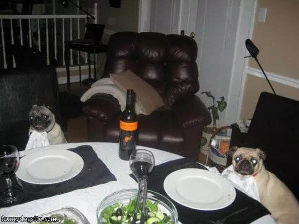 Its Dinner Time