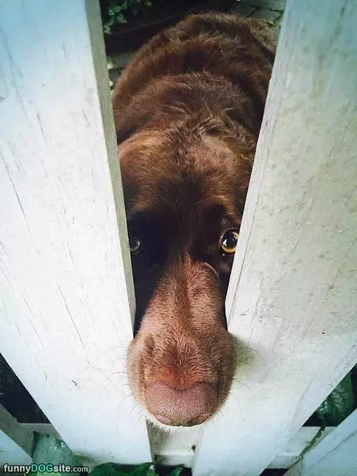 I See You
