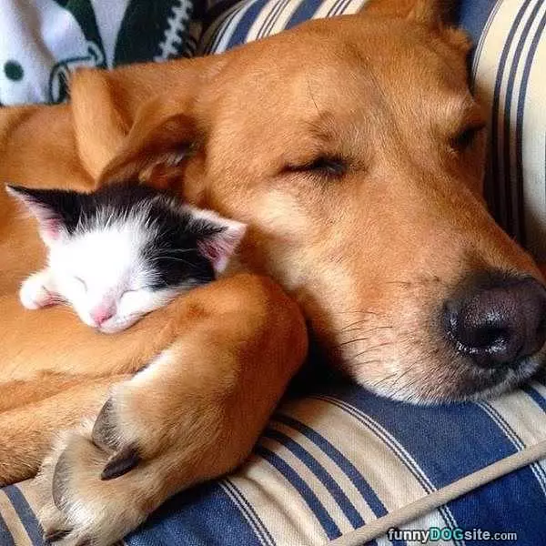 Cuddling With My Buddy