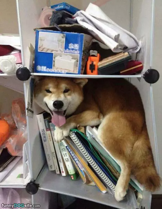 Look How Good I Fit