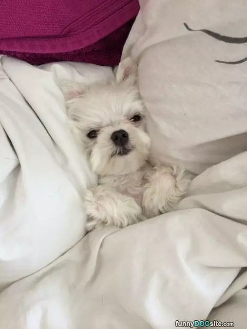 Tucked In Perfectly