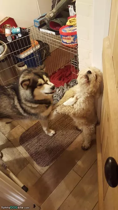 You Back Off
