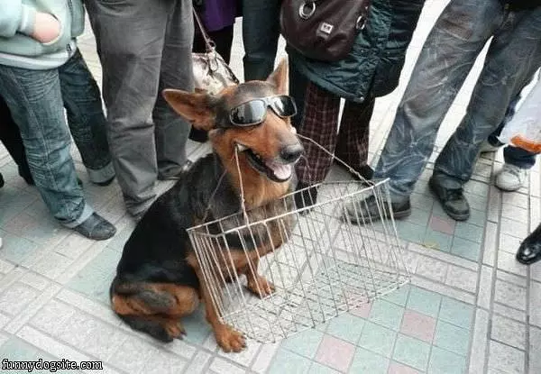 Just Doing Some Shopping