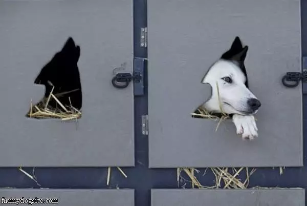 Let Me Out Of This Place