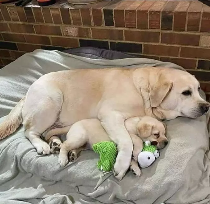 Hugging It Out